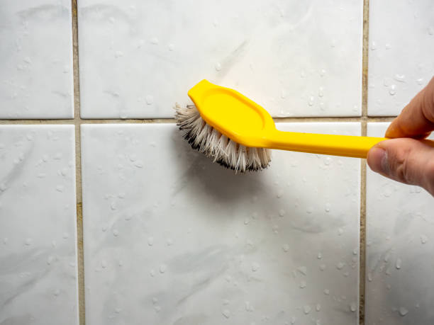 Mold Testing and Removal in Bruceville Eddy, TX
