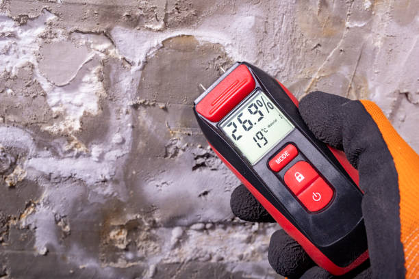 Best Certified Mold Removal  in Bruceville Eddy, TX
